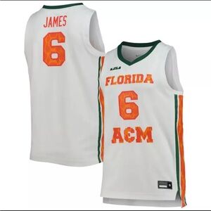 Nike x LeBron James Men’s L Florida A&M Rattlers #6 White Basketball Jersey